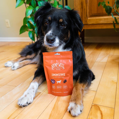Hemp Well - Apoyo Inmunológico y Alergias para Perros - 30 Chicles Blandos Orgánicos – Image 6