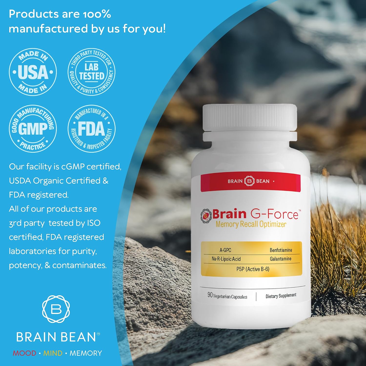 Brain G-Force | Suplemento para la Función Cognitiva | con Galantamina, Ácido R-Lipoico, A-GPC y Benfotiamina | 45 Servicios