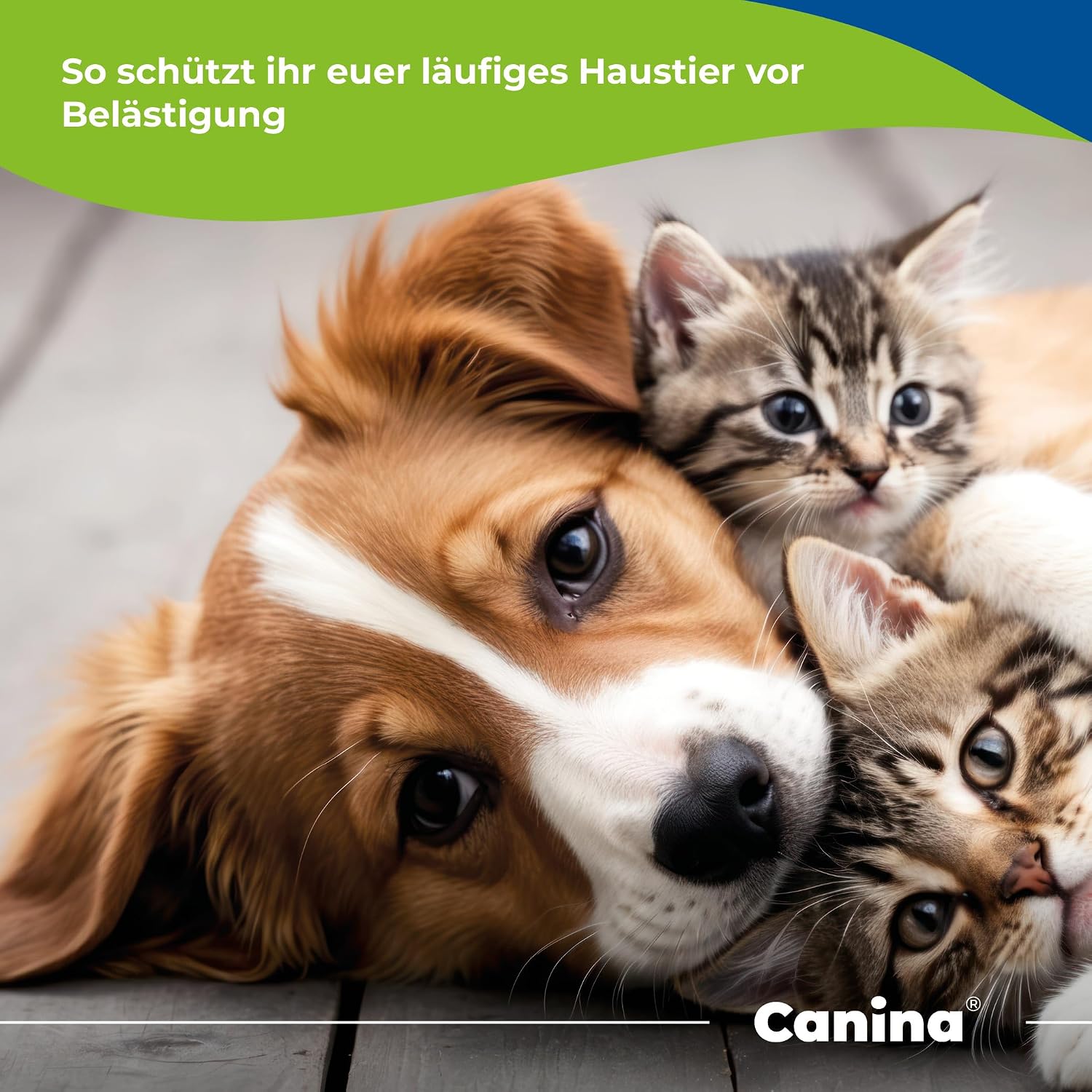 Canina Pharma Dog-Stop Forte Comprimidos para Perros, 60 unidades