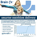 PPO Lab® Brain-fx™ - Suplemento Nootrópico con Complejo B Metilado, L-Teanina, Melena de León, Alpha GPC - 60 Cápsulas de Liberación Prolongada