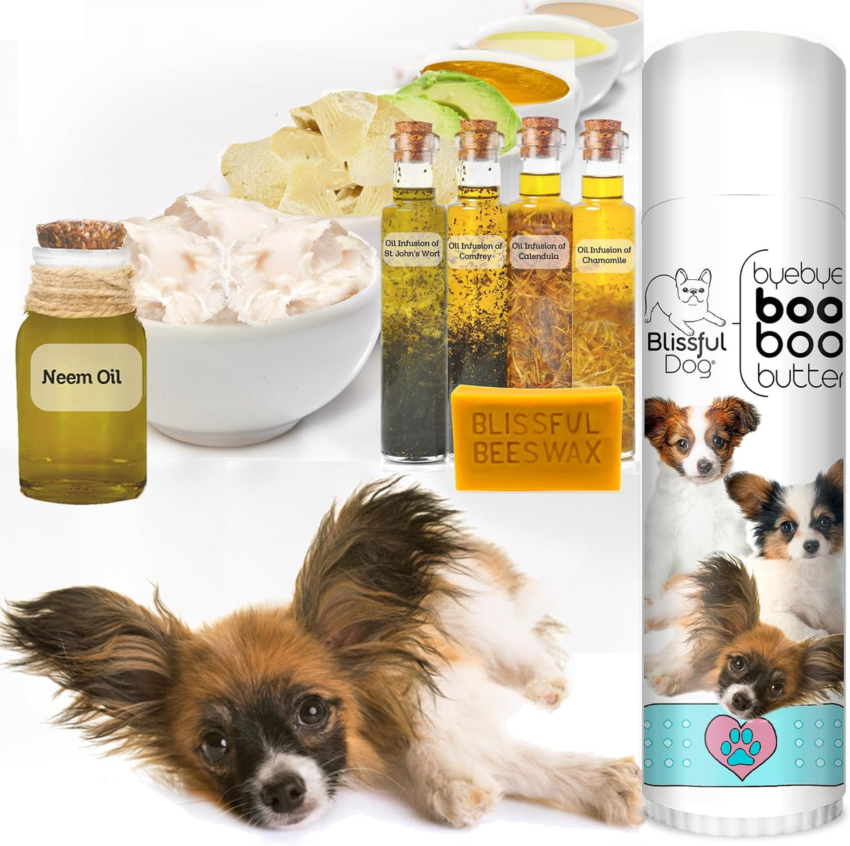 The Blissful Dog Papillon Boo Boo Butter, – Aceite de oliva: Rico en antioxidantes que contribuyen a la salud de – Image 2