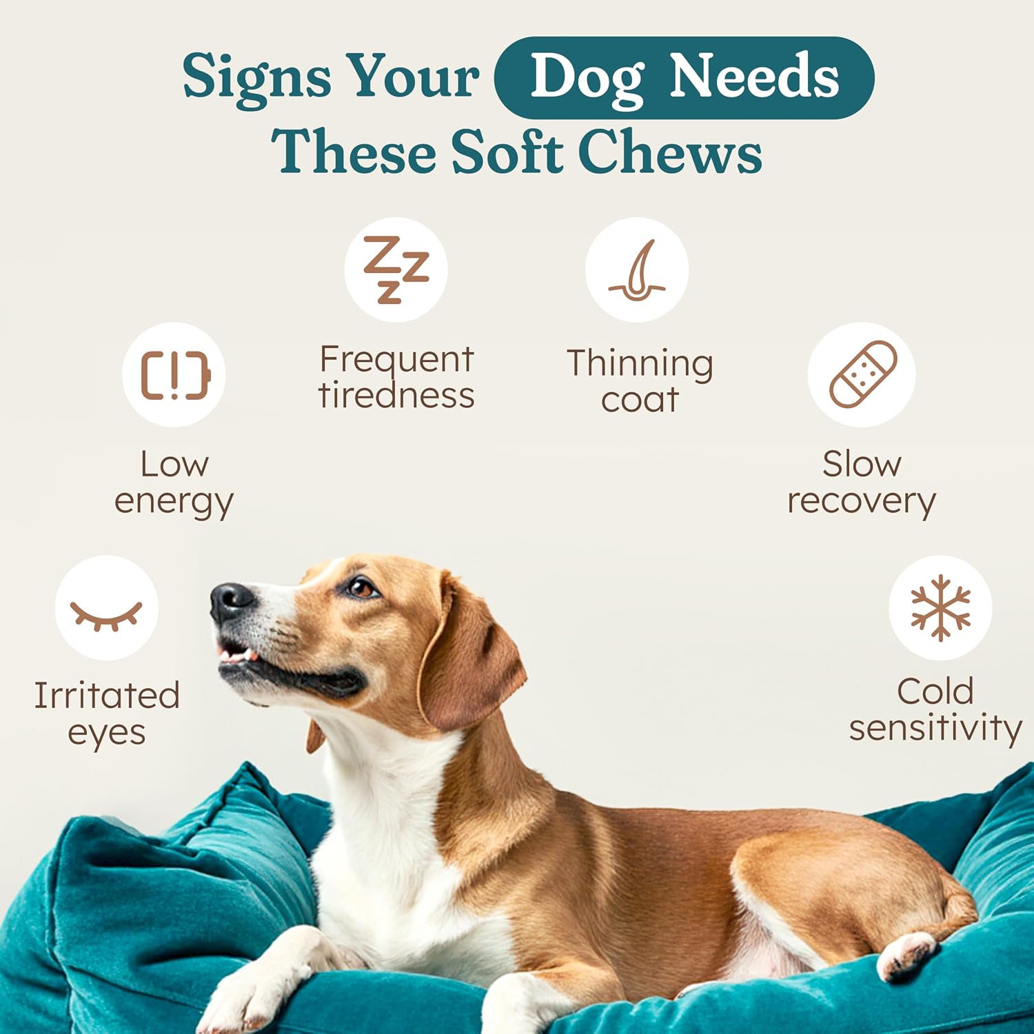 PetHeal Immune Plus Chews para Perros - Suplemento Inmune Natural - 30 Masticables Sabor Cerdo