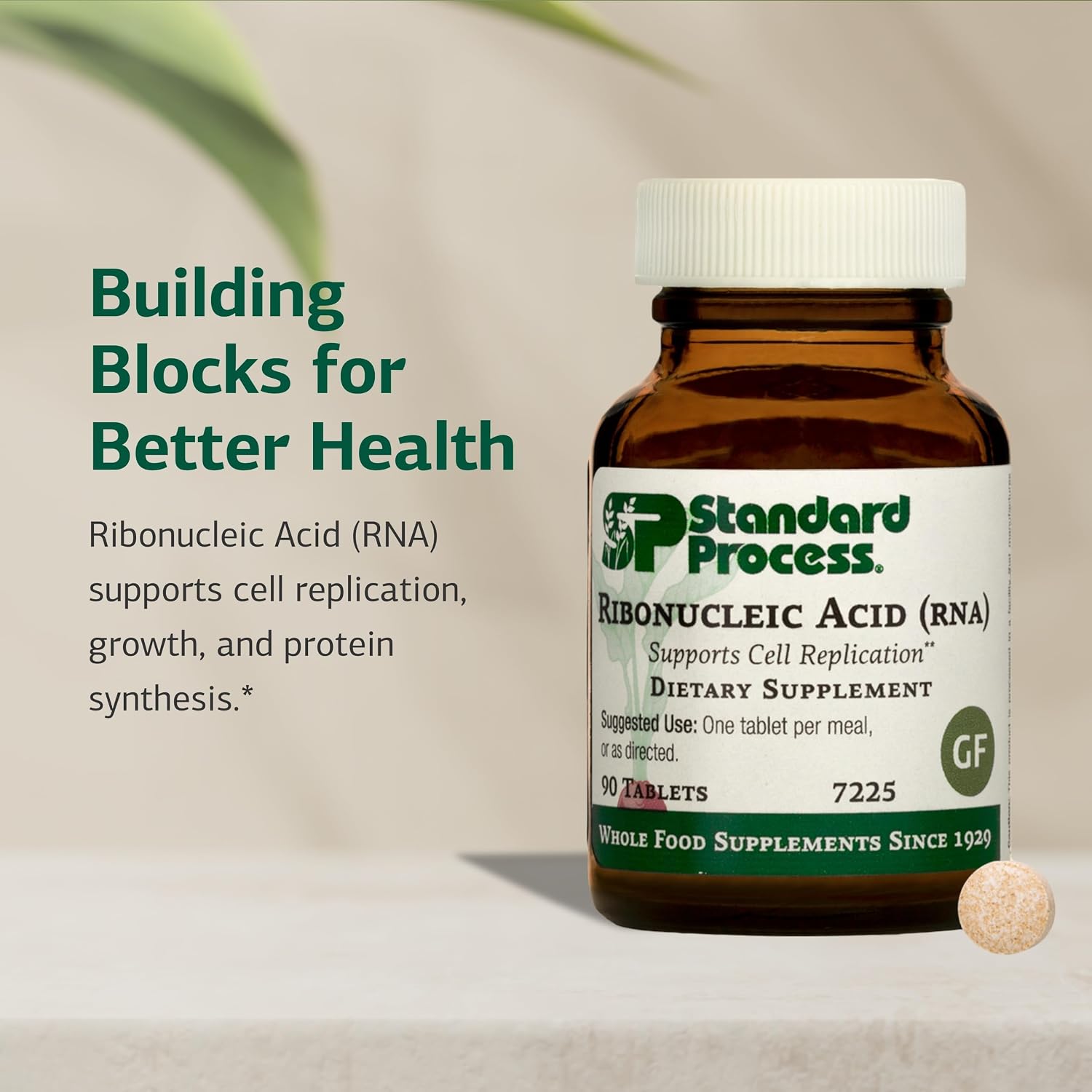 Standard Process RNA (Ribonucleic Acid) - 90 Tablets
