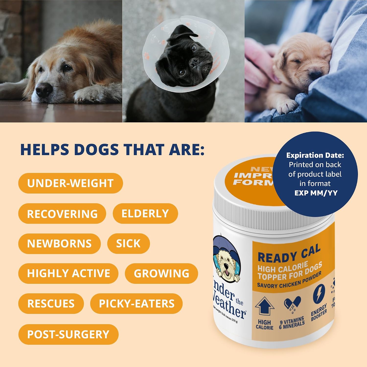 Under the Weather Ready Cal Powder para Perros - Complemento para Ganar Peso y Estimulante del Apetito, Sabor a Pollo, 300 g