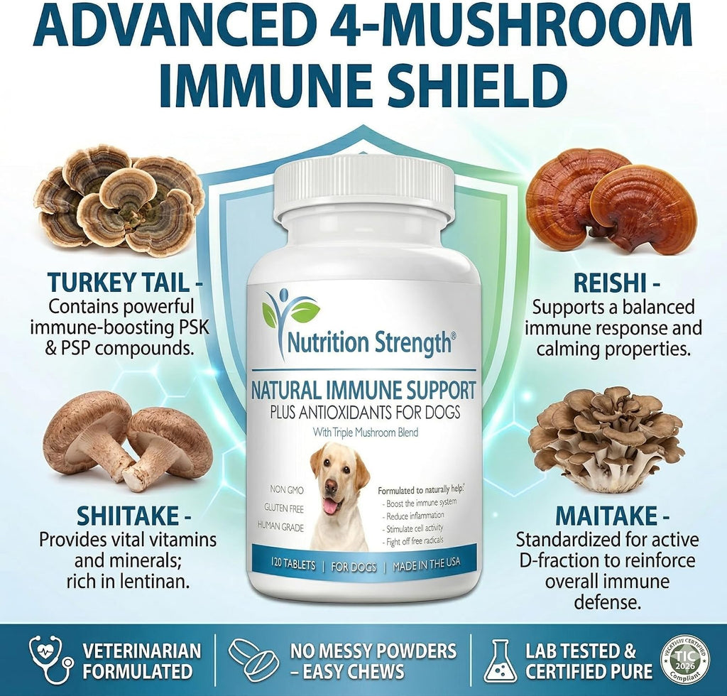 Nutrition Strength Immune Support for Dogs - Turkey Tail, Reishi, Shiitake, Maitake Mushroom Complex - Senior Dog Health - 120 Chewable Tablets