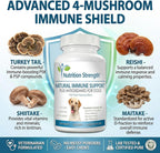 Nutrition Strength Immune Support for Dogs - Turkey Tail, Reishi, Shiitake, Maitake Mushroom Complex - Senior Dog Health - 120 Chewable Tablets