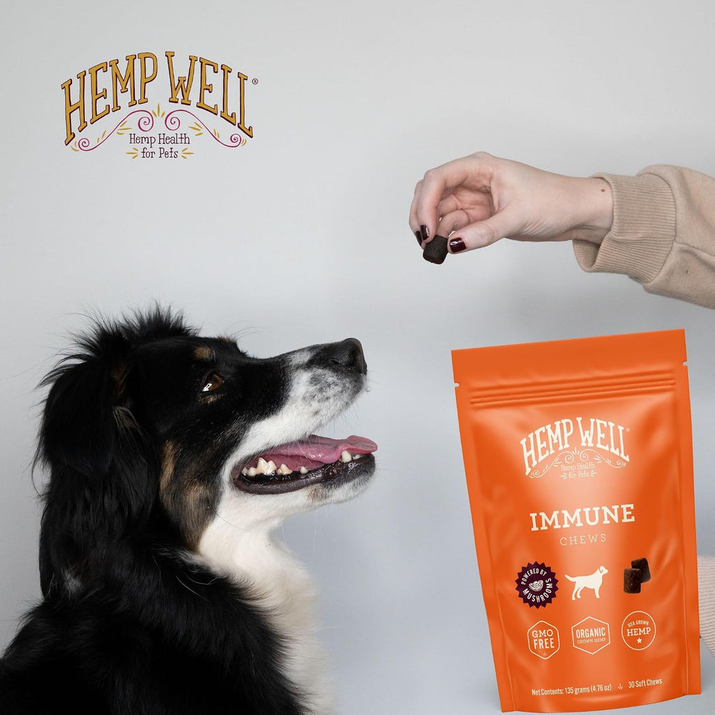 Hemp Well Snacks Blandos de Apoyo Inmunológico para Perros – Salud Intestinal (8 unidades)