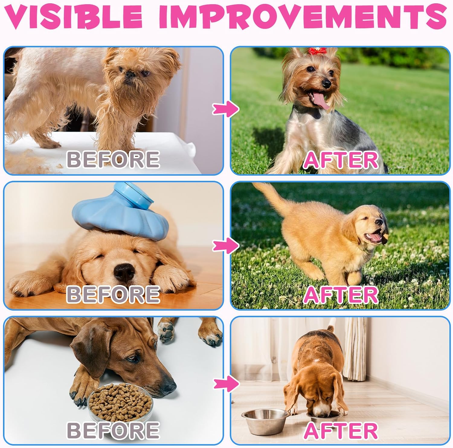 Colágeno Líquido para Perros con Biotina, MSM y Jengibre | Suplemento para Articulaciones, Piel y Digestión 60ml