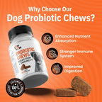 Probióticos para Perros en Masticables (90 unidades) – Salud Digestiva e Intestinal