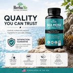 HerbaMe Musgo de Mar Orgánico con Bladderwrack, Bardana y Pimienta Negra - 150 Cápsulas Vegetales