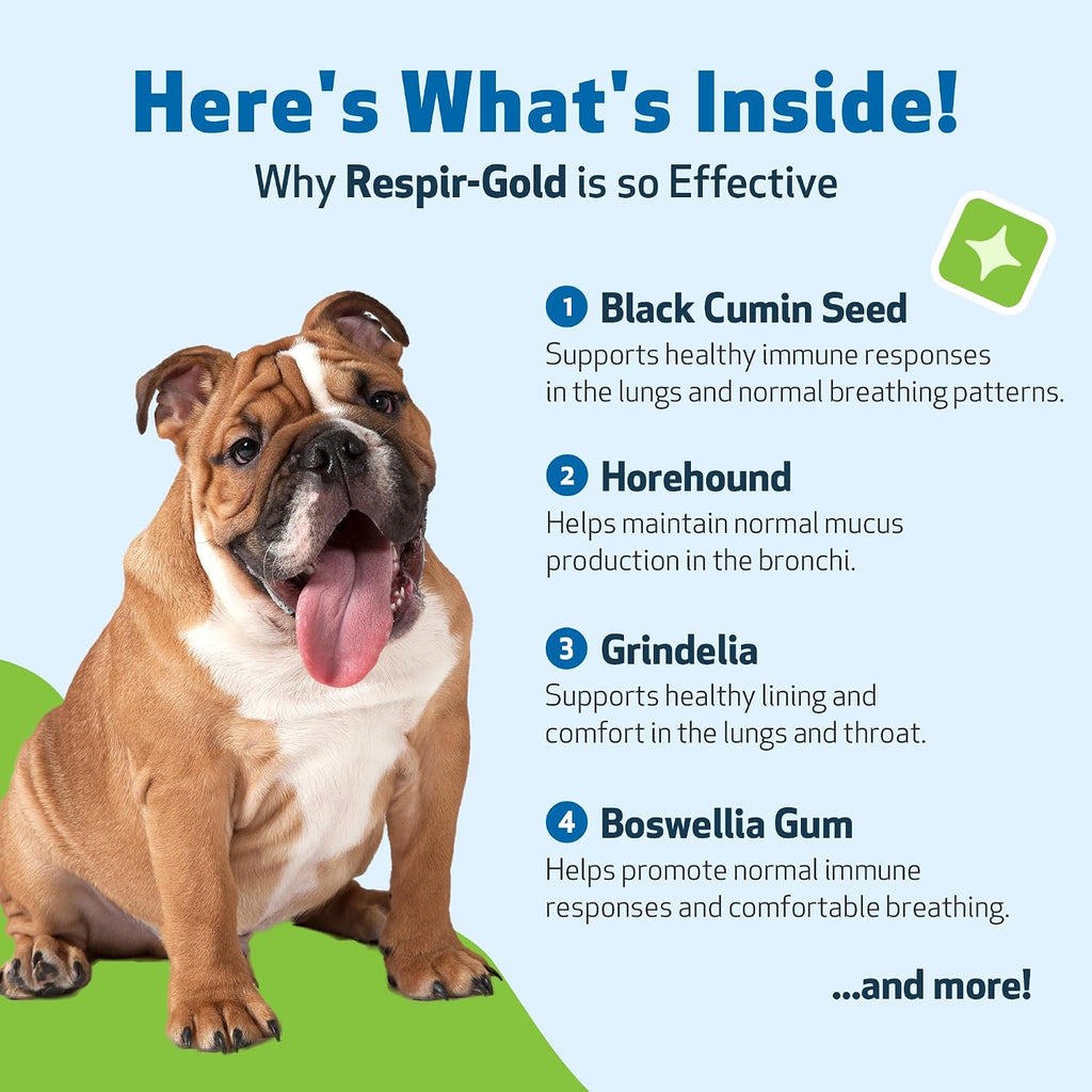 Pet Wellbeing Respir-Gold para Perros - Suplemento Líquido para Vías Respiratorias y Pulmones, con Comino Negro y Boswellia, Sabor Natural a Bacon, 59 ml