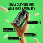 VitaRaw Cápsulas Orgánicas de Irish Sea Moss 2400 mg - con Raíz de Bardana y Fucus Vesiculosus - Suplemento Herbal Avanzado