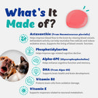 Recogry Líquido Apoyo Cognitivo para Perros y Gatos con Astaxantina, Fosfatidilserina, Alfa-GPC y DHA (90 ml)