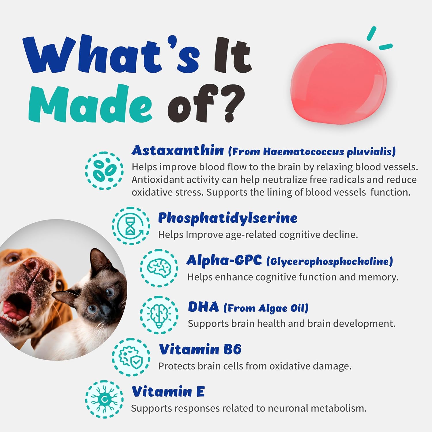 Recogry Líquido Apoyo Cognitivo para Perros y Gatos con Astaxantina, Fosfatidilserina, Alfa-GPC y DHA (90 ml)