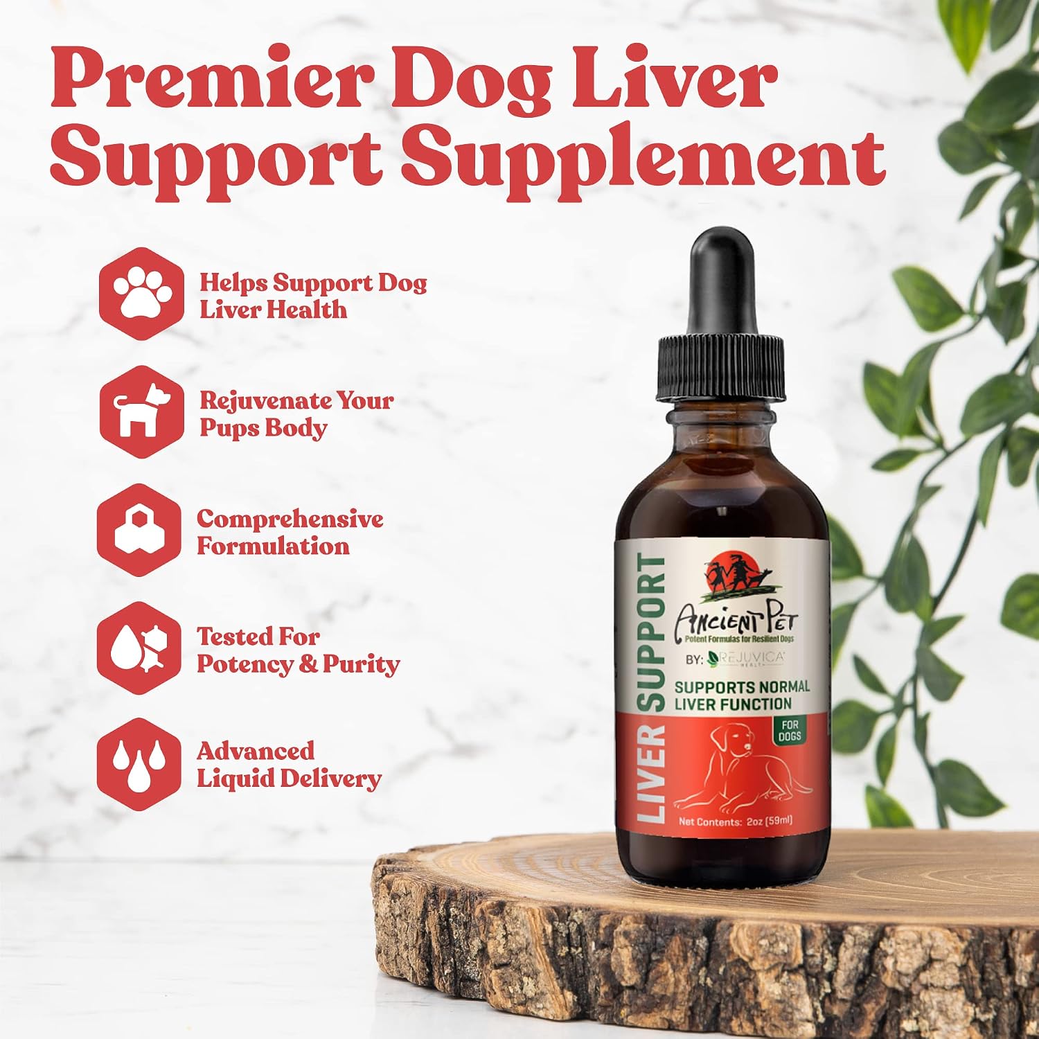 Ancient Pet Liver - Suplemento Avanzado para el Hígado de Perros - Fórmula Líquida con Cardo Mariano, Alcachofa, Diente de León y más