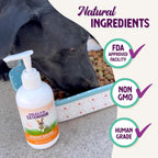 Health Extension Stress Supplement for Dogs, 8oz - Appetite & Energy Booster, Helps Prevent Hypoglycemia, Vitamin B Enriched