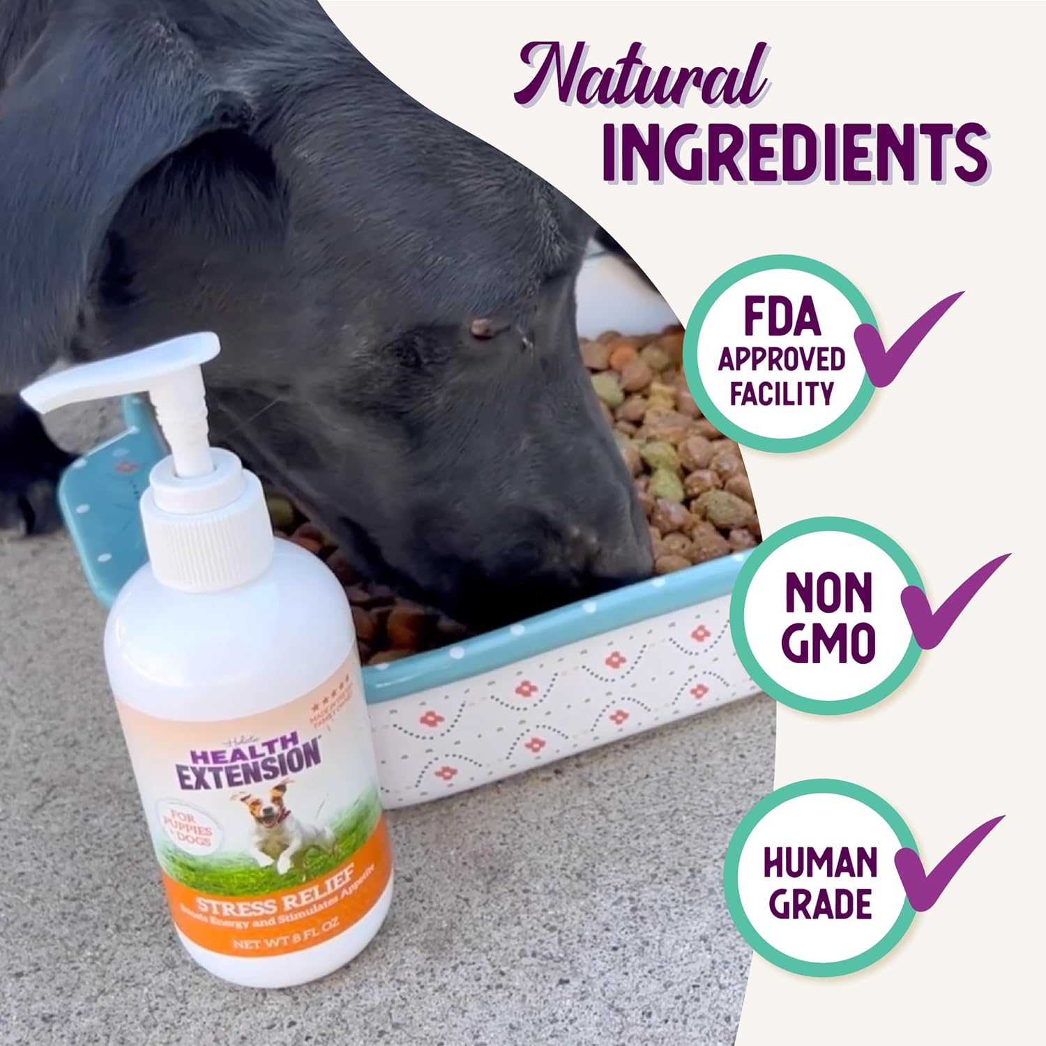 Health Extension Stress Supplement for Dogs, 8oz - Appetite & Energy Booster, Helps Prevent Hypoglycemia, Vitamin B Enriched