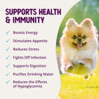 Health Extension Stress Supplement for Dogs, 8oz - Appetite & Energy Booster, Helps Prevent Hypoglycemia, Vitamin B Enriched