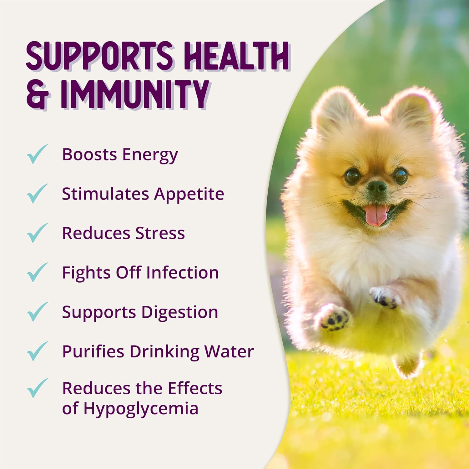 Health Extension Stress Supplement for Dogs, 8oz - Appetite & Energy Booster, Helps Prevent Hypoglycemia, Vitamin B Enriched
