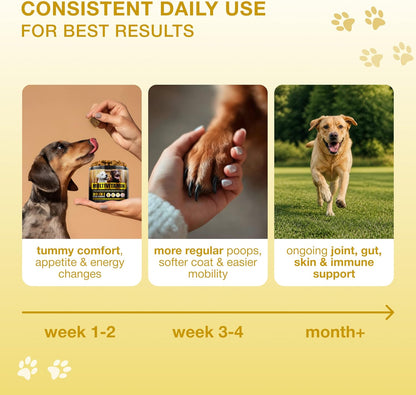 Kinpur Pet Care Multivitamínico 20 en 1 para – Perros pequeños (hasta 10 kg): 1 masticable al día. – Image 7