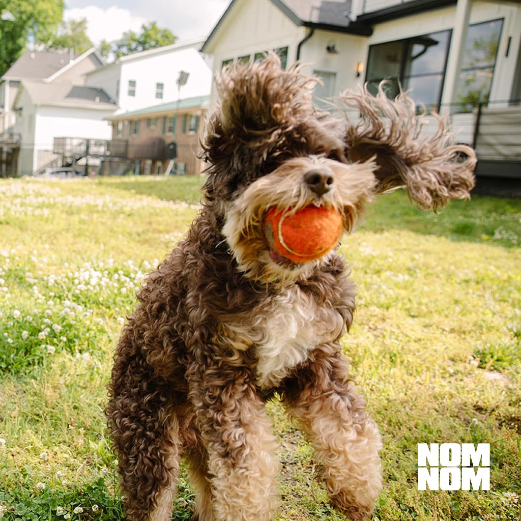 Nom Nom Probiótico Digestivo para Perros con Prebióticos y Saccharomyces boulardii - Polvo para la Salud Gastrointestinal