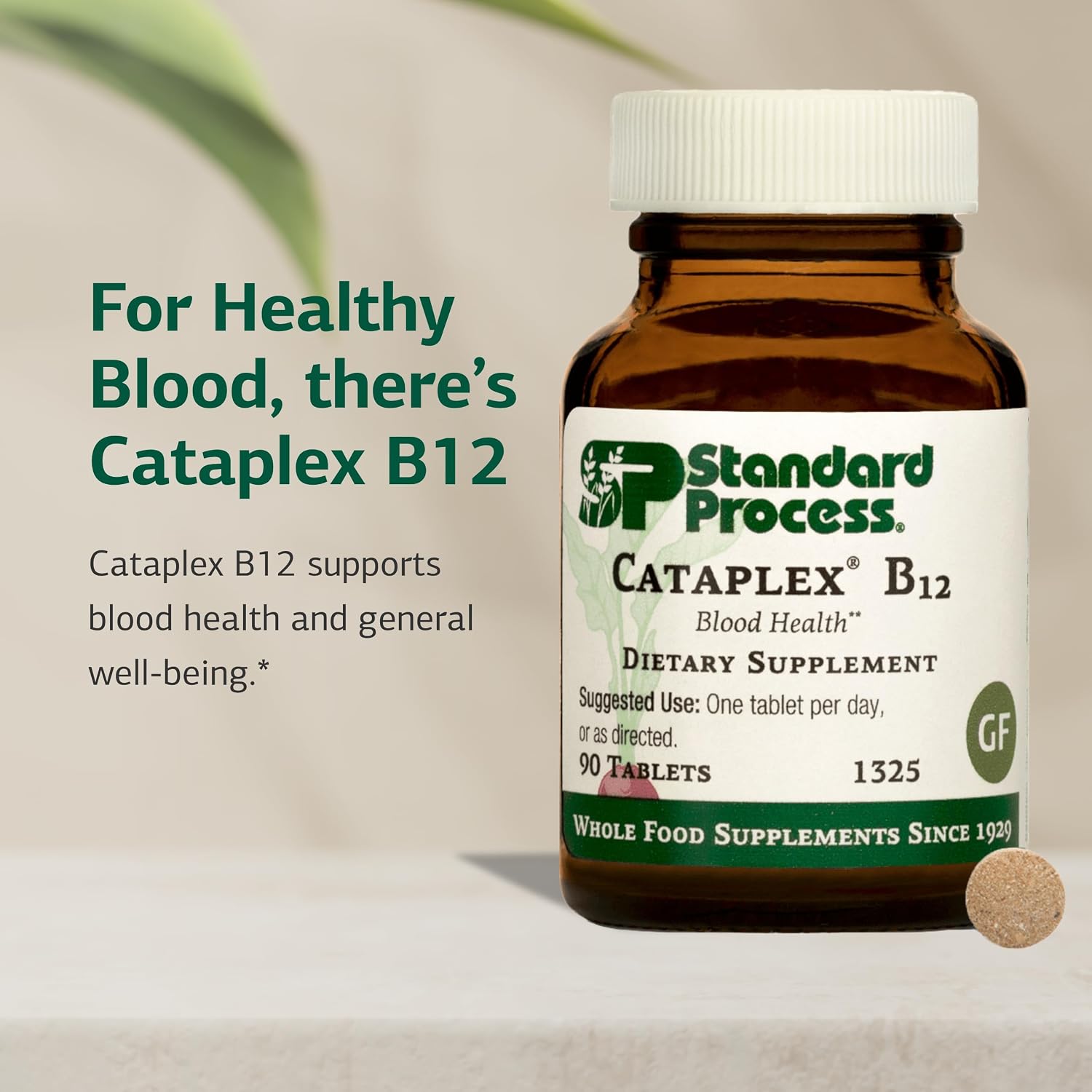 Standard Process Cataplex B12 - Complemento de Vitamina B12 - 90 Comprimidos (Sin Gluten, Sin Lácteos, Sin Soja)