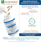Power By Naturals Methyl Multi One - Multivitamínico Metilado Sin Hierro con 5-MTHF, Metilcobalamina y CoQ10 - 60 Cápsulas
