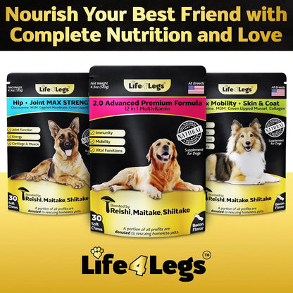 Life4Legs Soft Chews Multivitamínicos para – Biotina y vitamina E: Nutrientes que ayudan a mantener la piel sana y – Image 7