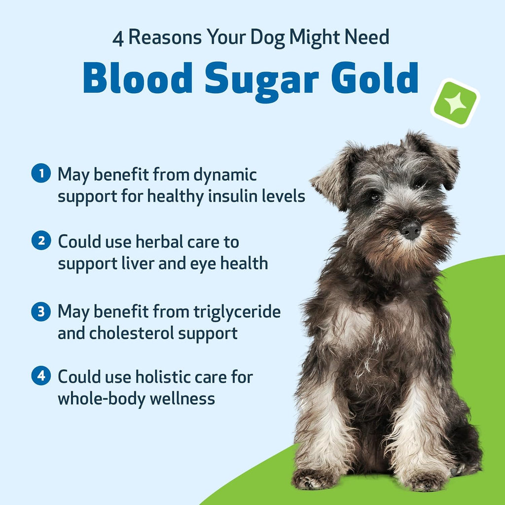 Pet Wellbeing Blood Sugar Gold para Perros - Apoyo Holístico para Niveles Saludables de Azúcar en Sangre, Estabilización de Insulina y Función Pancreática Normal - Certificado NASC y Formulado por Veterinarios - 118 ml Líquido