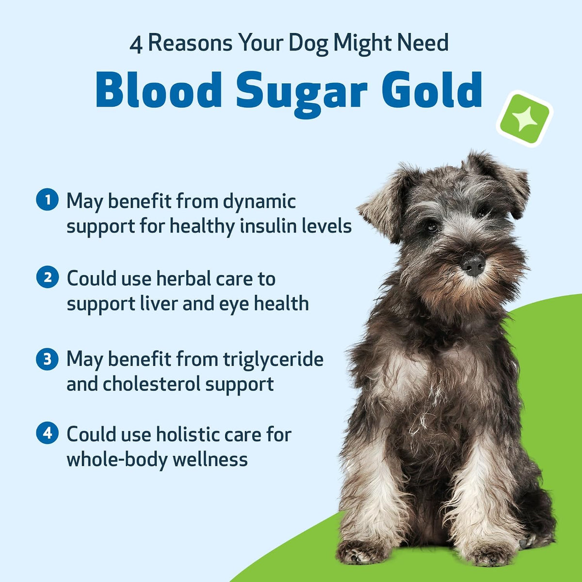 Pet Wellbeing Blood Sugar Gold para Perros - Apoyo Holístico para Niveles Saludables de Azúcar en Sangre, Estabilización de – Image 9