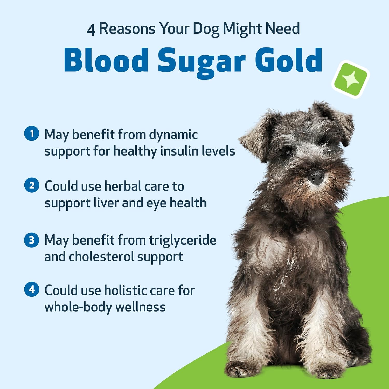 Pet Wellbeing Blood Sugar Gold para Perros - Apoyo Holístico para Niveles Saludables de Azúcar en Sangre, Estabilización de Insulina y Función Pancreática Normal - Certificado NASC y Formulado por Veterinarios - 118 ml Líquido