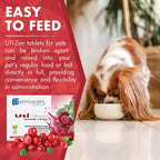 Dermoscent UTI-Zen Cranberry Comprimidos para Perros y Gatos - Suplemento Alimenticio para la Salud de la Vejiga, Riñones y Tracto Urinario - Sabor a Pollo - 30 Comprimidos