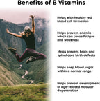 Wellgenix Bio Available Multivitamínico Sublingual - 60 Comprimidos con Vitamina B12 Metilcobalamina, B6, Ácido Fólico y Biotina