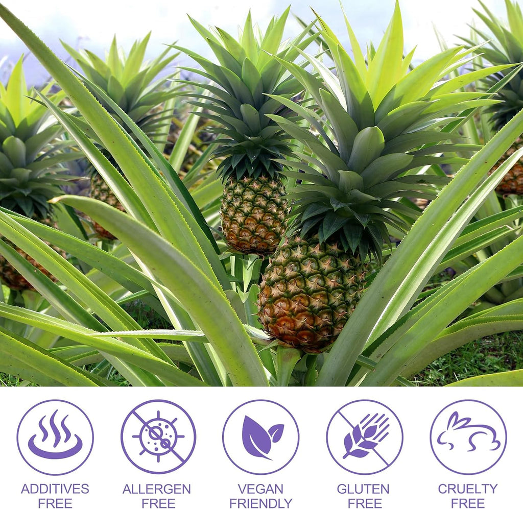 Gominolas de Piña para el Equilibrio Femenino con Probióticos y Vitamina C – 60 Gomitas