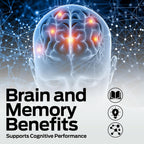 Ultra Max Natural Organic 4 en 1 Suplemento Cerebral para Memoria y Concentración, Apoyo Inmunológico y Antienvejecimiento