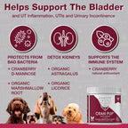 Complemento de Arándano Rojo para Perros - Soporte Urinario y de Vejiga - 120 Masticables Blandos