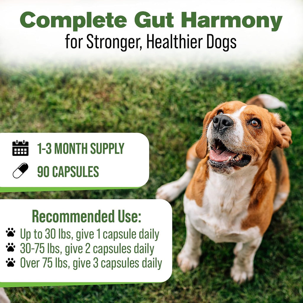Digestive Support for Dogs - Natural Herbal Supplement - 90 Capsules