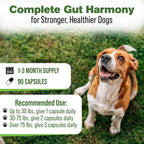 Digestive Support for Dogs - Natural Herbal Supplement - 90 Capsules