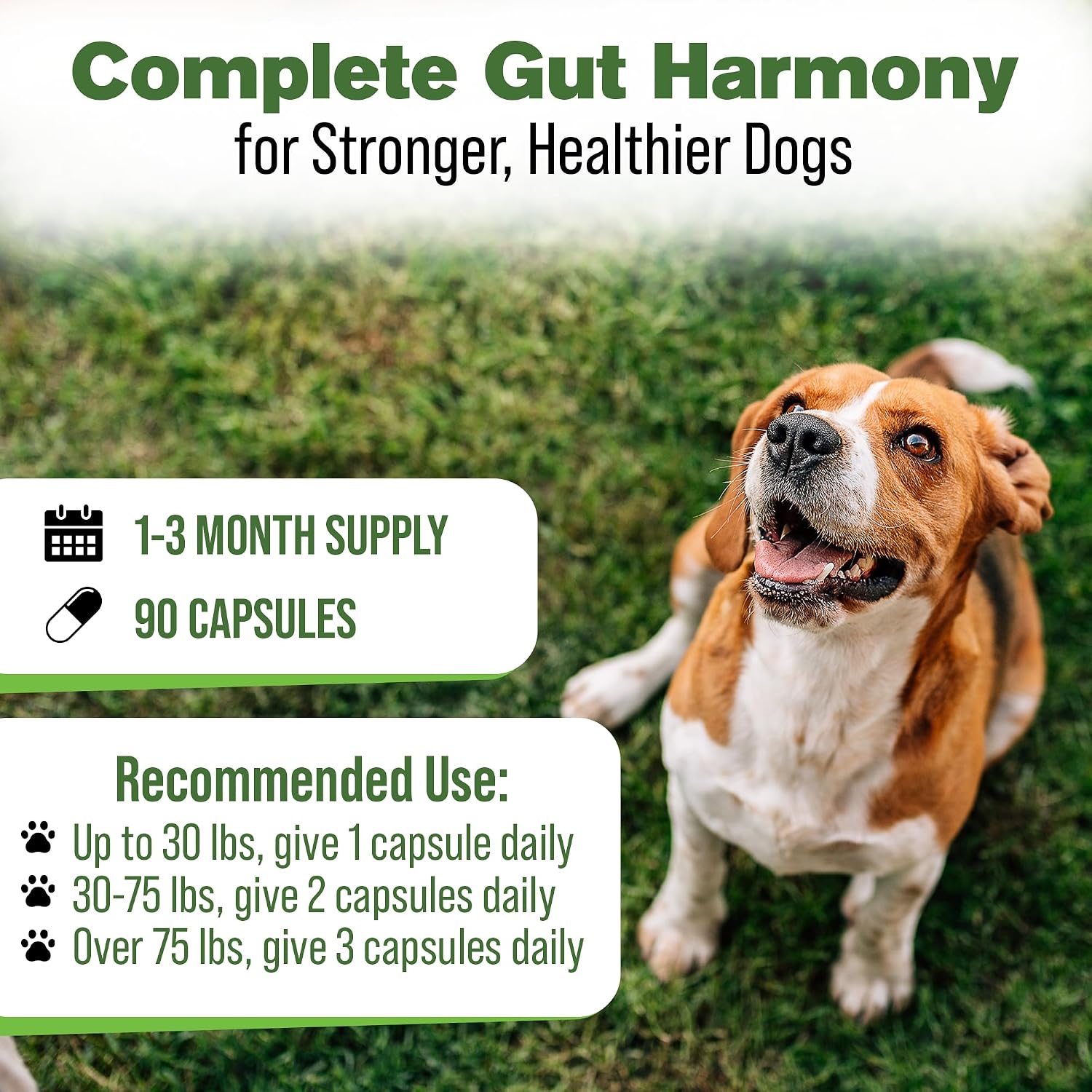Digestive Support for Dogs - Natural Herbal Supplement - 90 Capsules