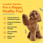 Dr Jay's Romps Multivitamínico para Perros - Colágeno Tipo II - Articulaciones, Piel y Pelo - 30 Chews Blandos
