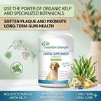 Nutrition Strength Cuidado Dental para Perros - Eliminador Natural de Placa y Sarro con Algas Orgánicas, Hojas de Fresa y Semillas de Calabaza - 120 Comprimidos