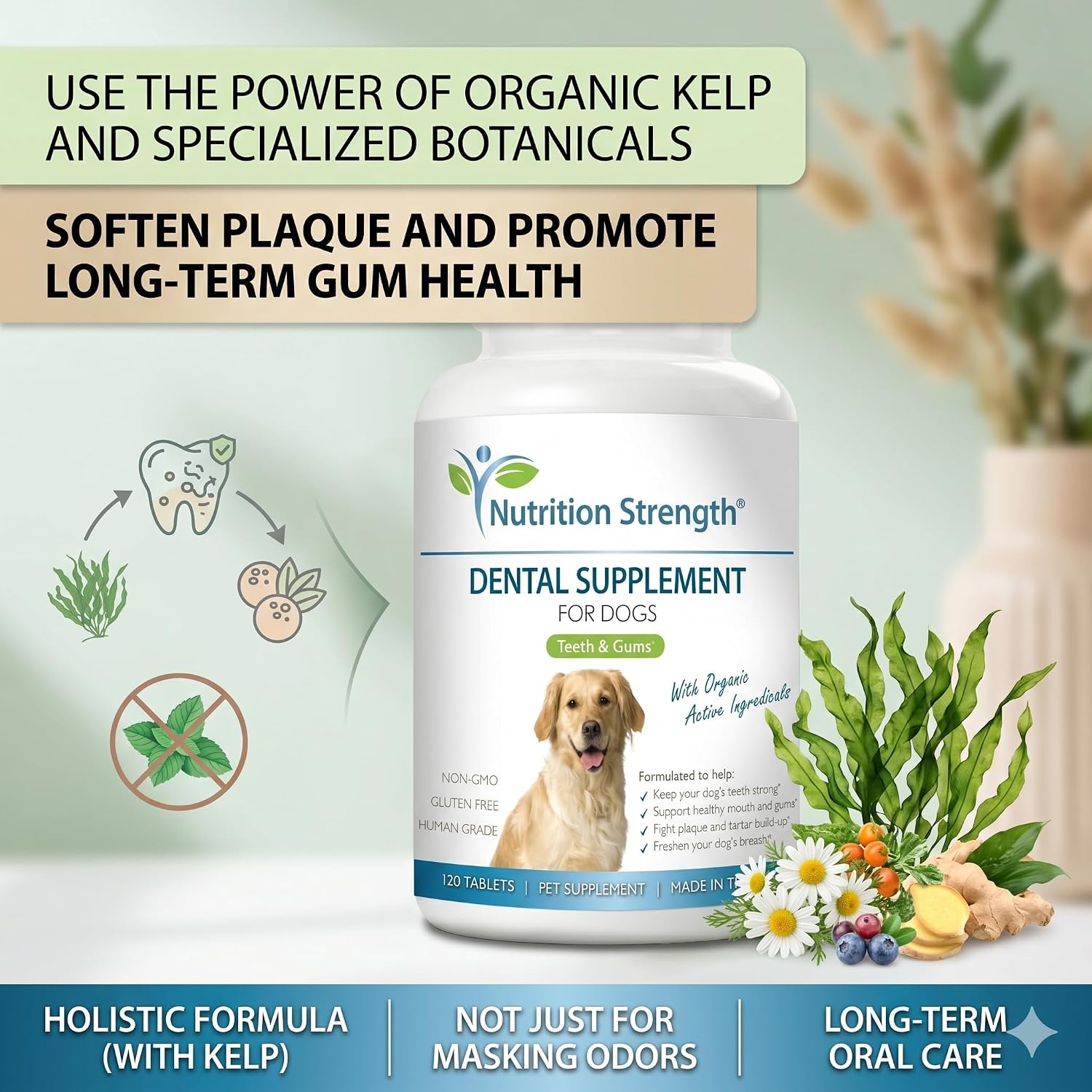Nutrition Strength Cuidado Dental para Perros - Eliminador Natural de Placa y Sarro con Algas Orgánicas, Hojas de Fresa y Semillas de Calabaza - 120 Comprimidos