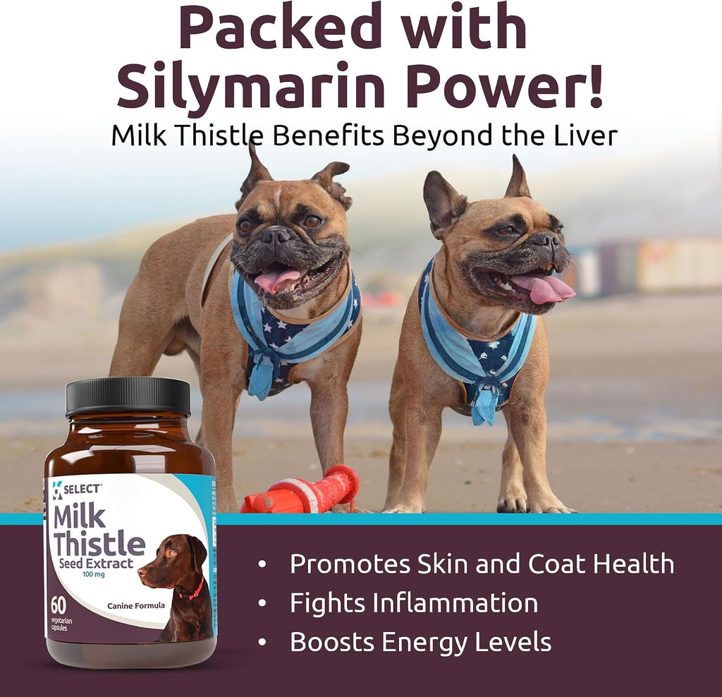 Milk Thistle for Dogs, 100mg - 60 Vegetable Capsules - Canine Liver Supplement