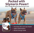 Milk Thistle for Dogs, 100mg - 60 Vegetable Capsules - Canine Liver Supplement