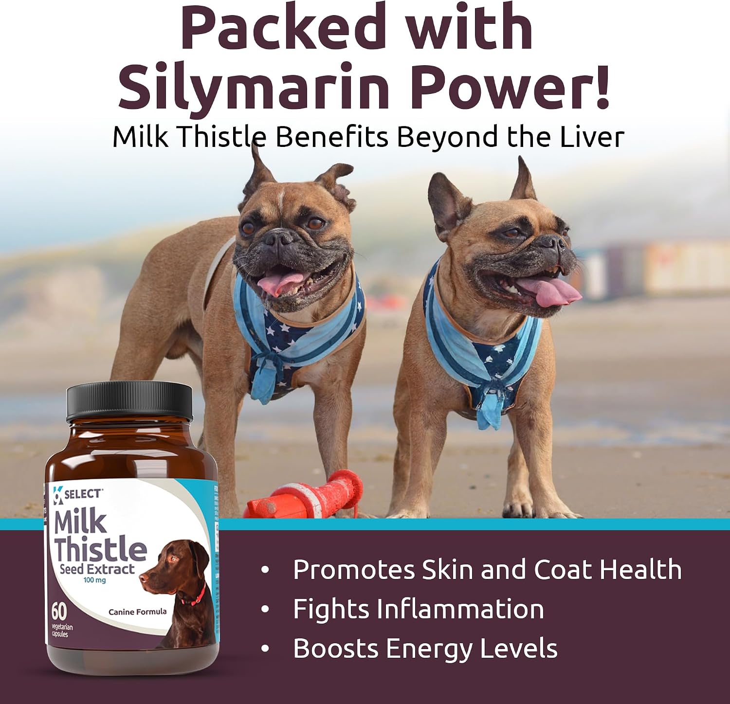 Milk Thistle for Dogs, 100mg - 60 Vegetable Capsules - Canine Liver Supplement