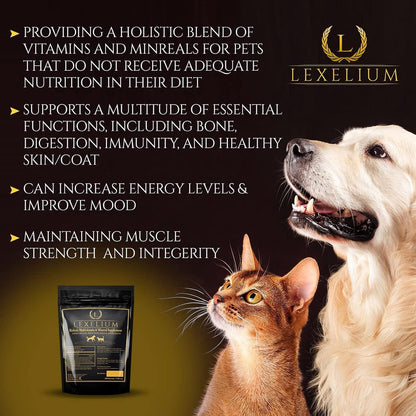 Lexelium Multivitamínico 12-en-1 para Perros – Digestión saludable: Los nutrientes vegetales favorecen el tránsito – Image 2