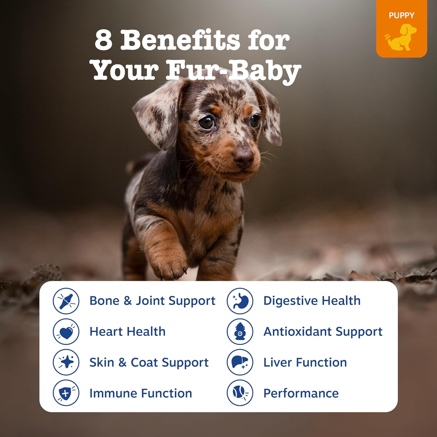 Zesty Paws Multivitamínico para Perros – 90 Comprimidos Masticables Sabor Pollo