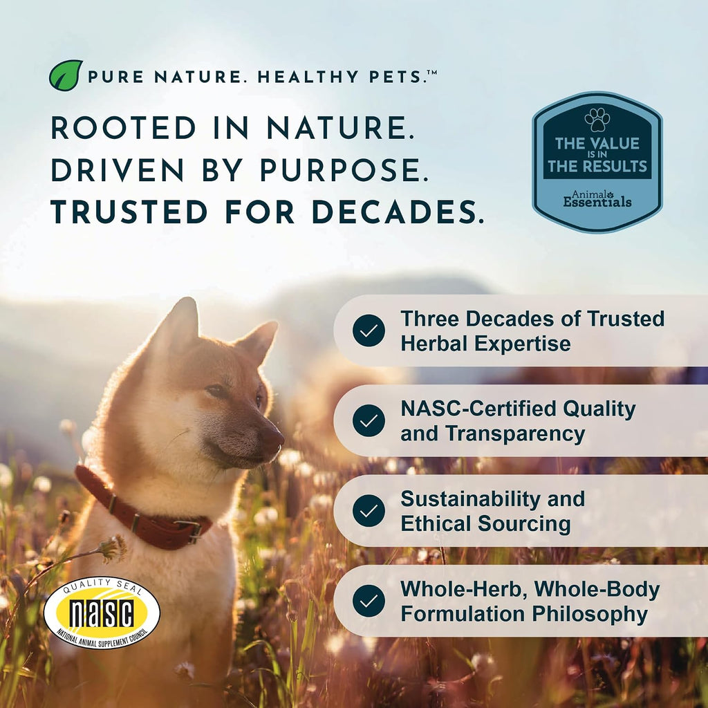 Daily Digestion 1 fl oz – Suplemento herbal para perros