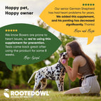 Rooted Owl® Cardio Support para Perros - L-Carnitina y Taurina - 60 Cápsulas Veganas