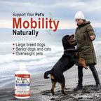 Vital Earth Minerals Pet Fulvic - Alivio para Alergias y Apoyo Articular, 16 oz (Pack de 2)